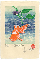 Oranda